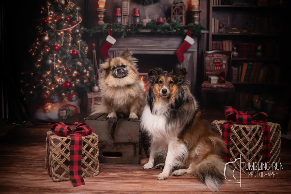 Retro Kerstboom Openhaard Kerstman Warm Huis Boek Fleece Achtergrond voor Fotografie