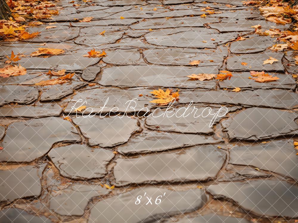 Kate Fall Leaves and Gray Cobblestone Road Floor Backdrop Designed by Emetselch