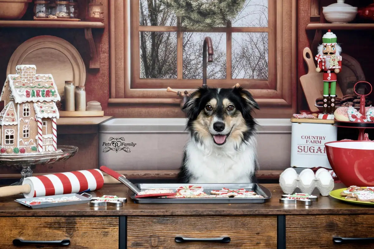 Kate Cozy Christmas Kitchen Backdrop Designed by Mandy Ringe Photography