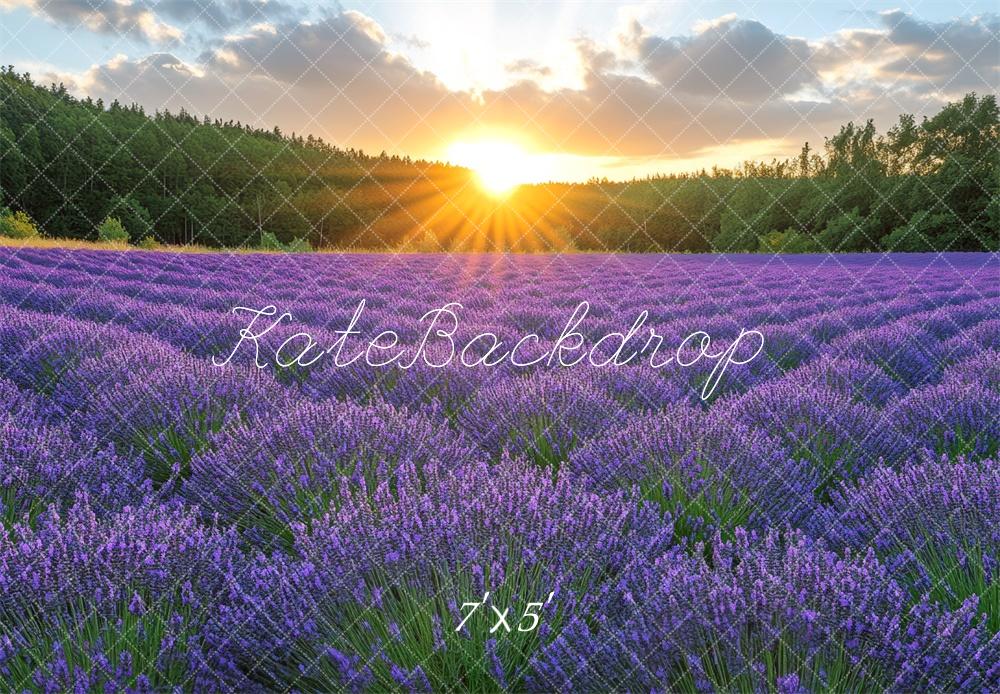 Kate Lavender Field Sunrise Backdrop Designed by Mini MakeBelieve