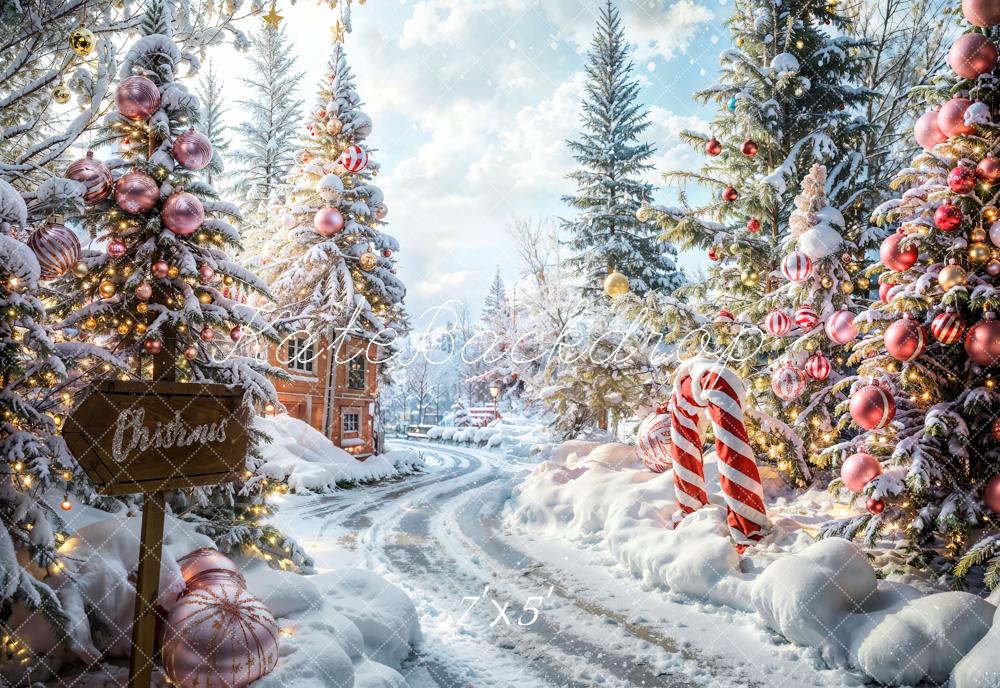 Kate Christmas Outdoor Forest Path Backdrop Designed by Emetselch