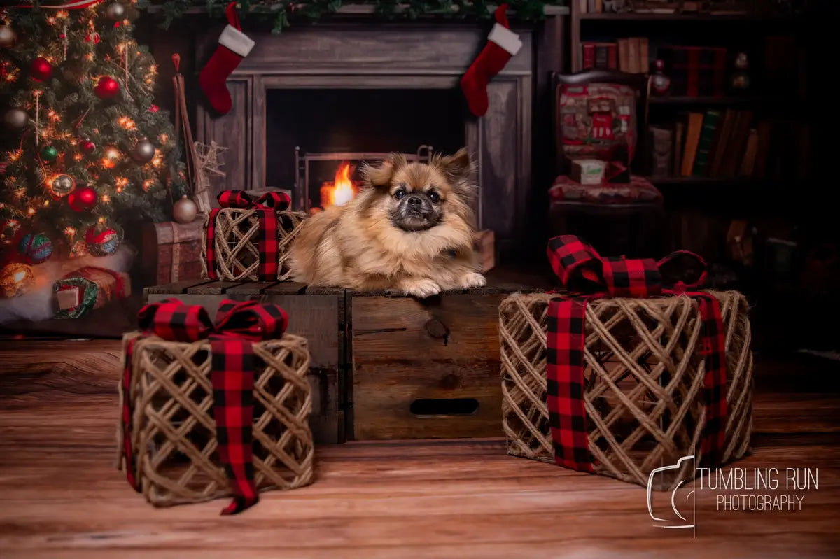 Retro Kerstboom Openhaard Kerstman Warm Huis Boek Fleece Achtergrond voor Fotografie