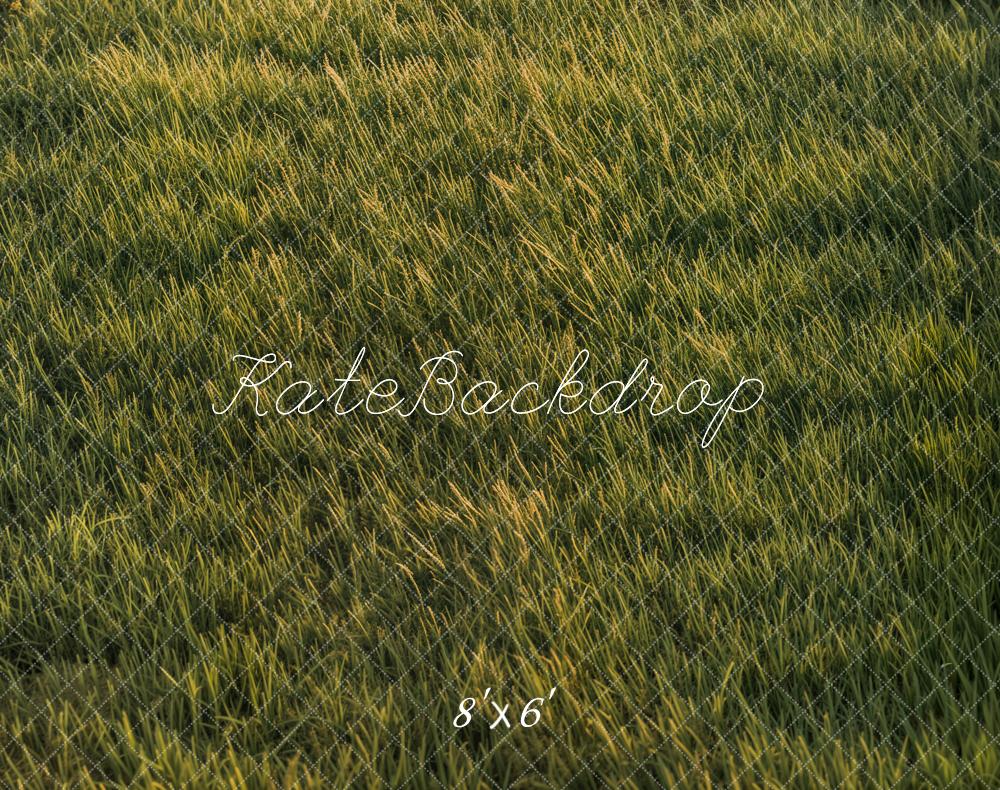 Kate Green Grass Sunlight  Floor Backdrop Designed by Emetselch