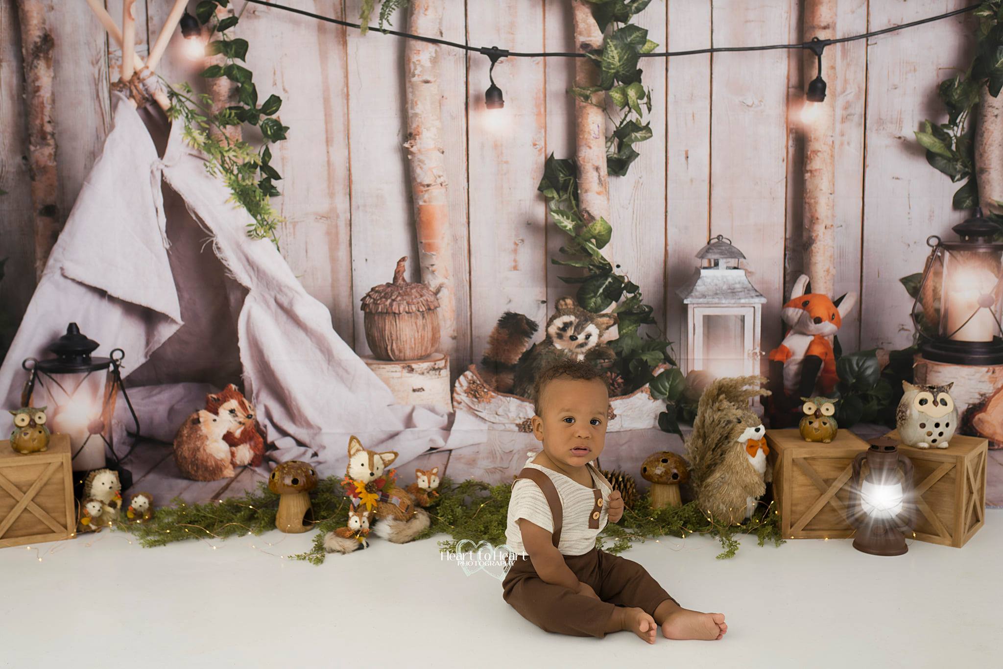 Kate Woodland Children Cake Smash Backdrop Tent Raccoon Designed By Rose Abbas - Kate Backdrop