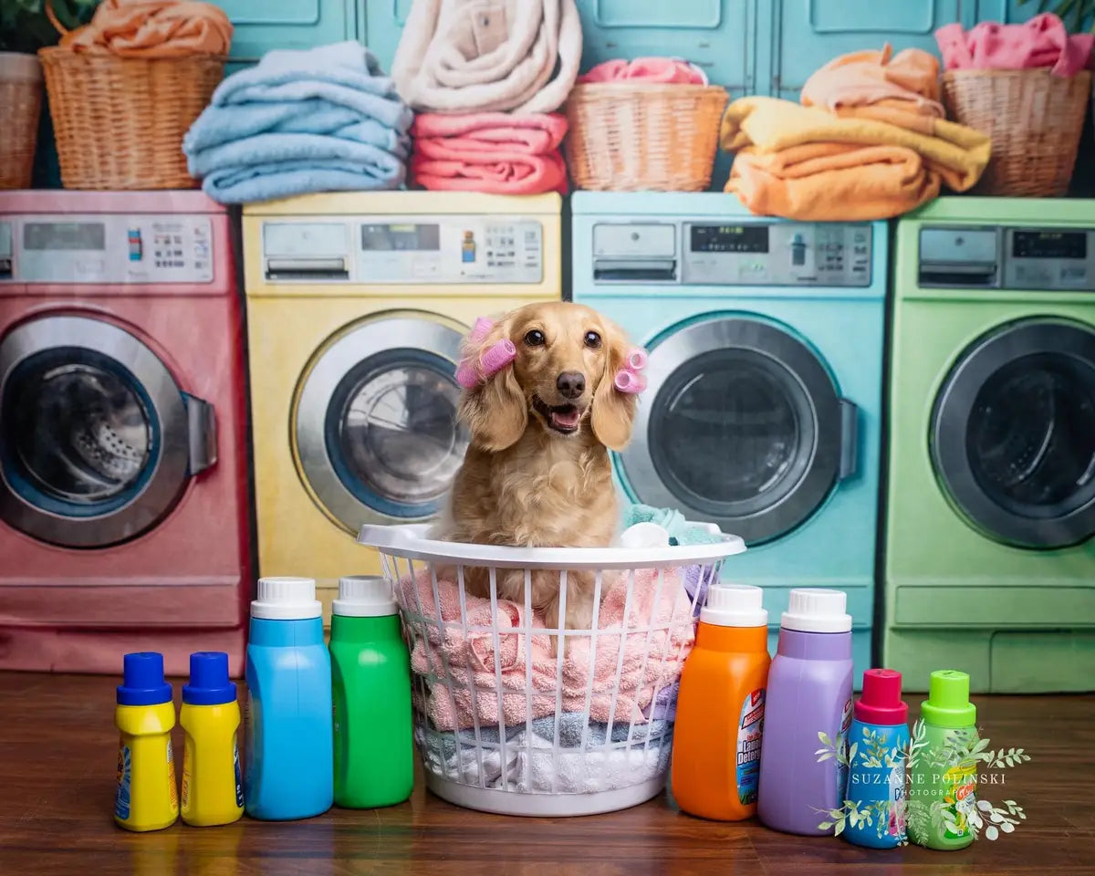 Pet Laundry Day Kleurrijke Wasmachine Lente Achtergrond Ontworpen door Chain Photography