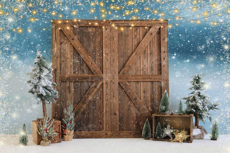 Kate Christmas Barn Door Snow Backdrop for Photography - Kate Backdrop