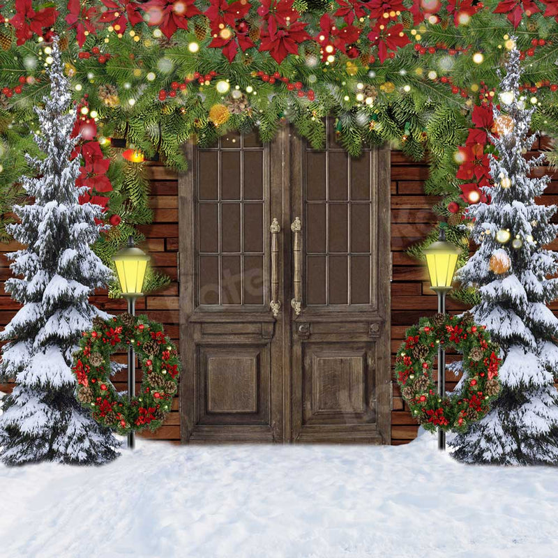 Kate Christmas Snow Barn Door Winter Backdrop