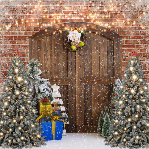 Kate Christmas Brick Barn Door Winter Backdrop for Photography