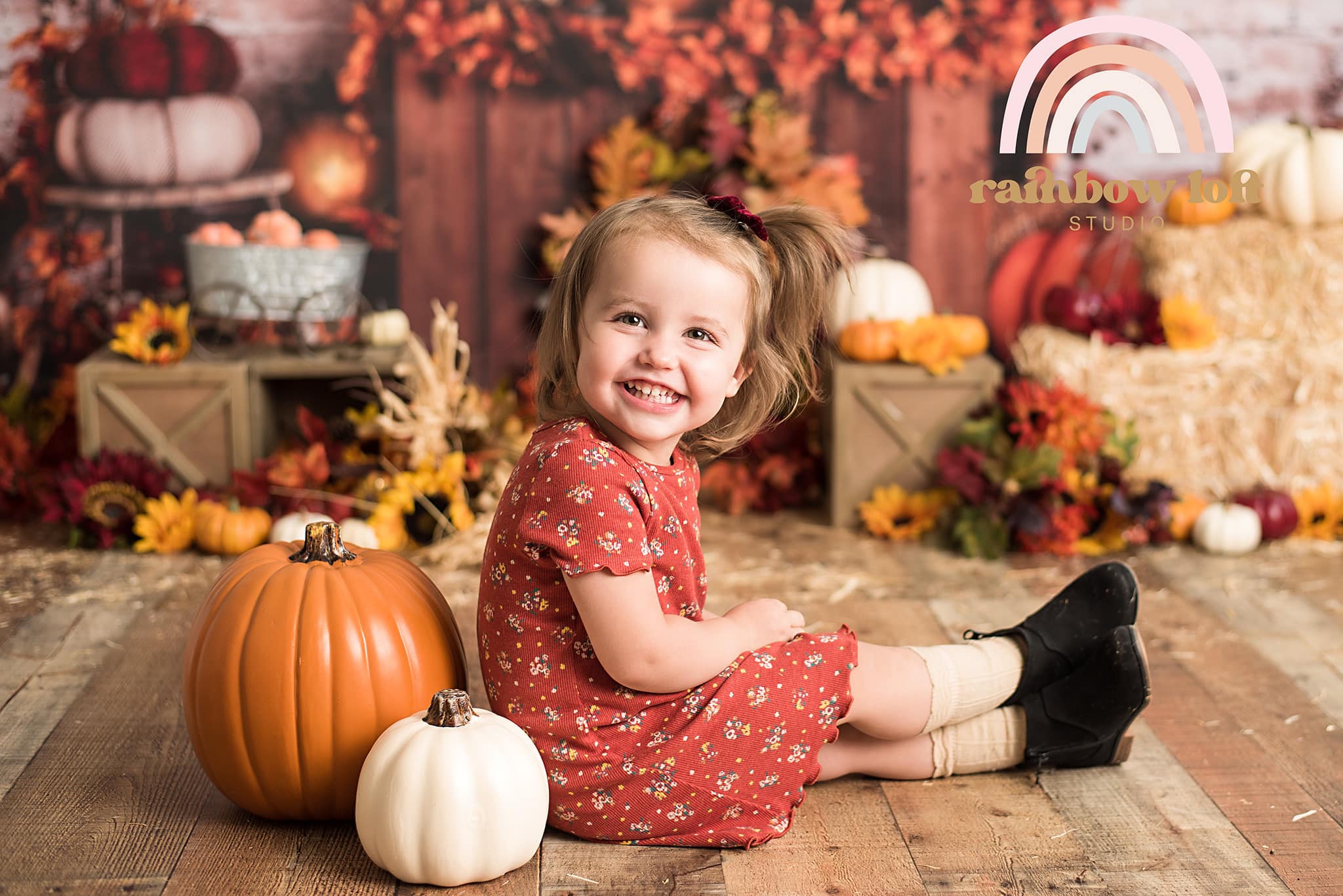 Kate Autumn Pumpkin Backdrop Fall Designed By Rose Abbas - Kate Backdrop