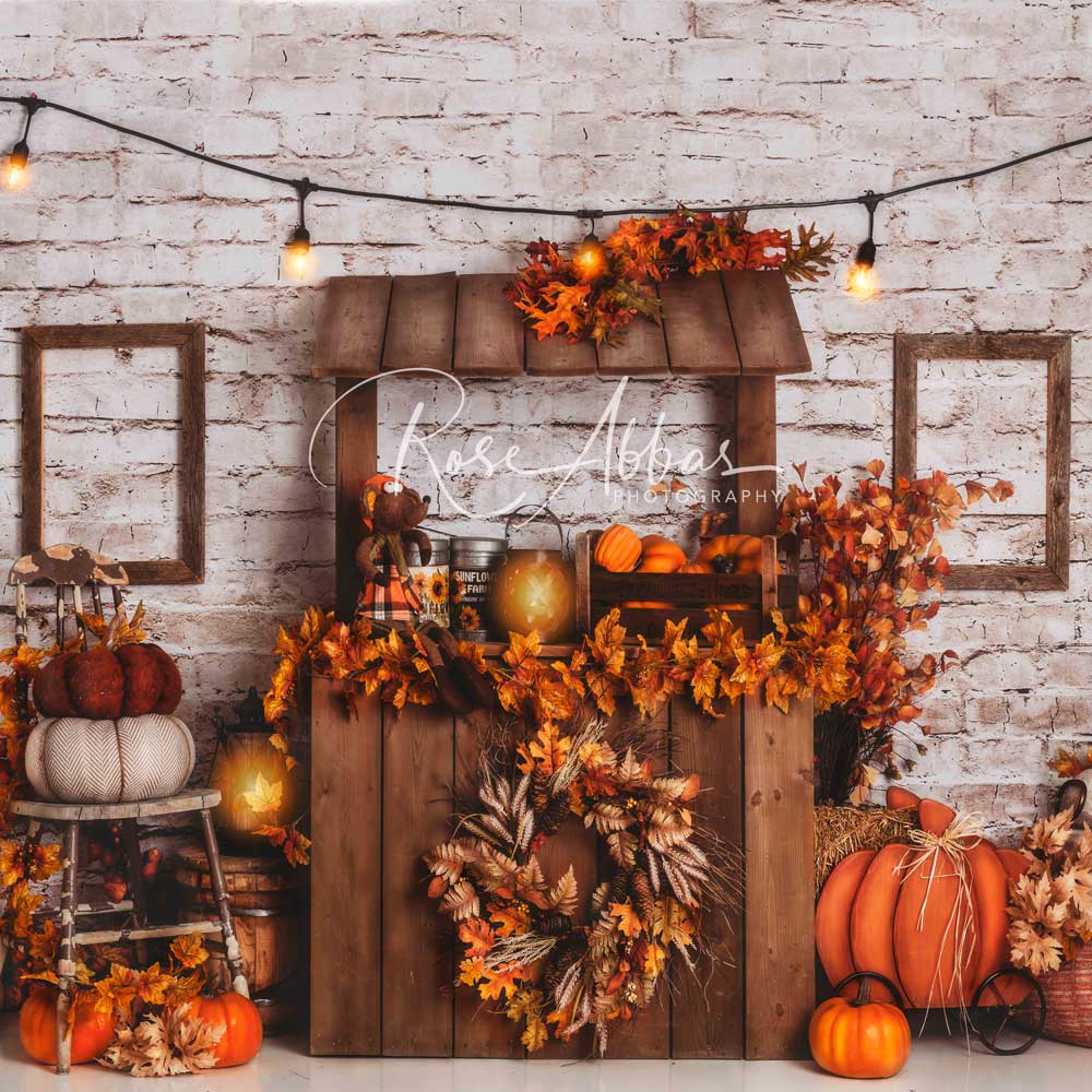 Kate Autumn Pumpkin Backdrop Fall Designed By Rose Abbas - Kate Backdrop