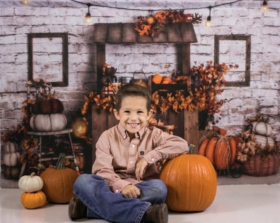 Kate Autumn Pumpkin Backdrop Fall Designed By Rose Abbas - Kate Backdrop