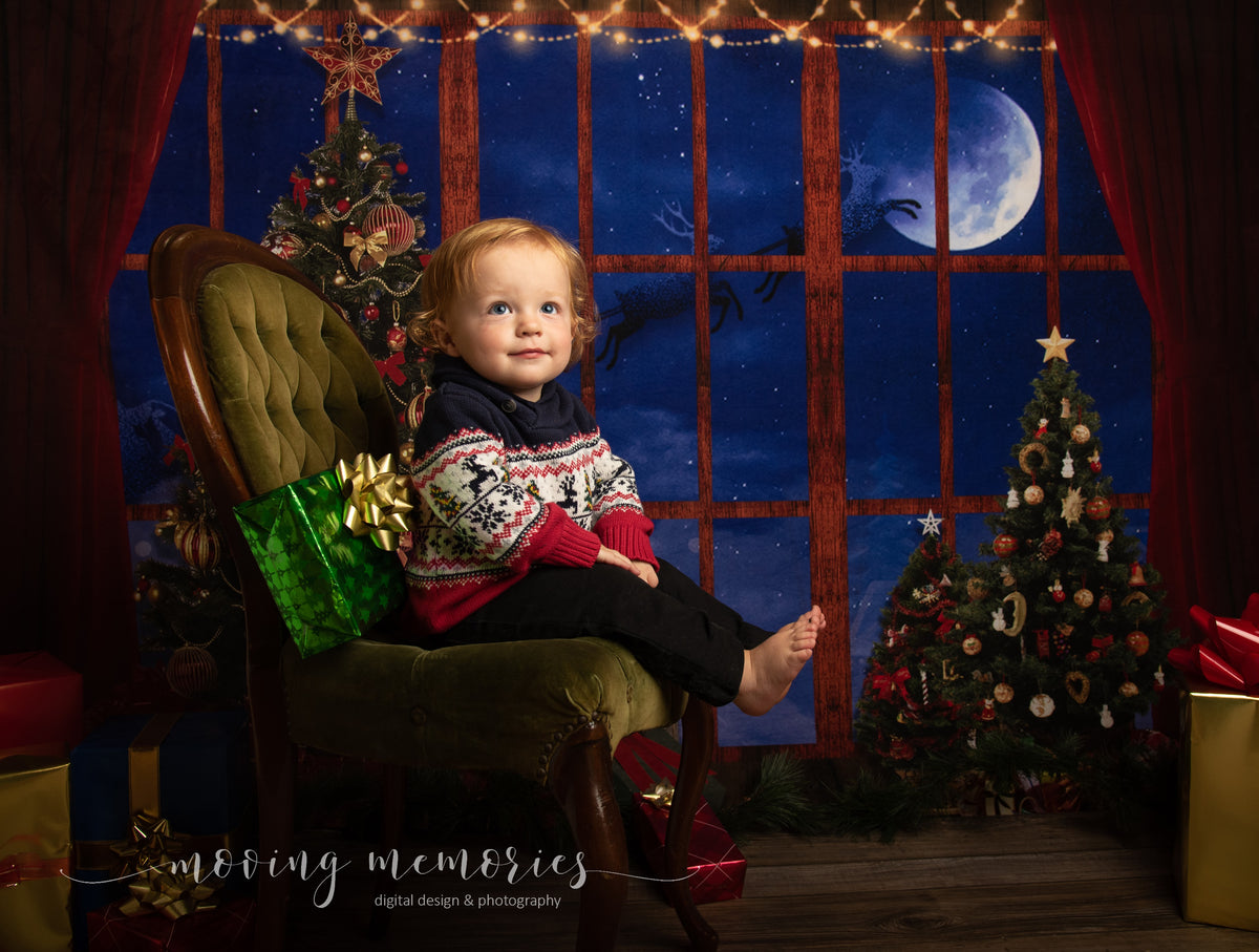 Kate Christmas Trees Window Backdrop Elk Moon for Photography