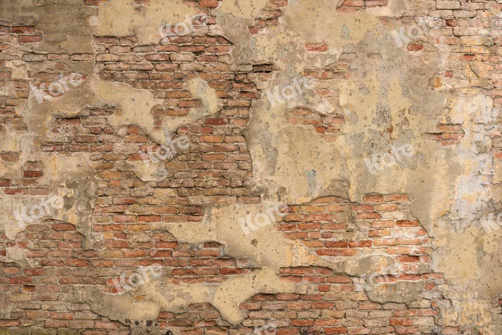 Deals Plaster Wall - Wrinkle Free Fabric - Photography Backdrop