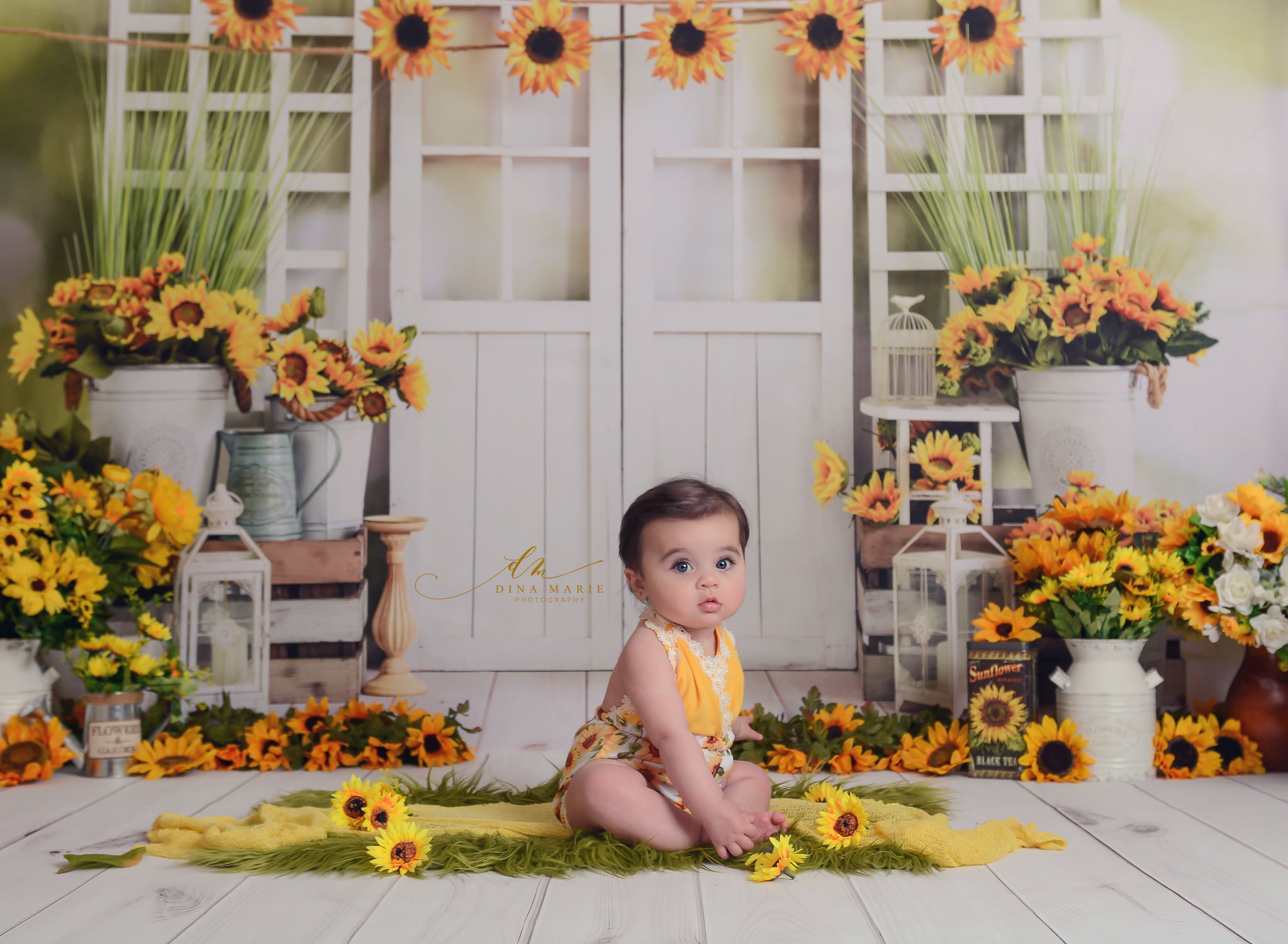 Kate Sunflowers Window Summer Backdrop Designed by Emetselch