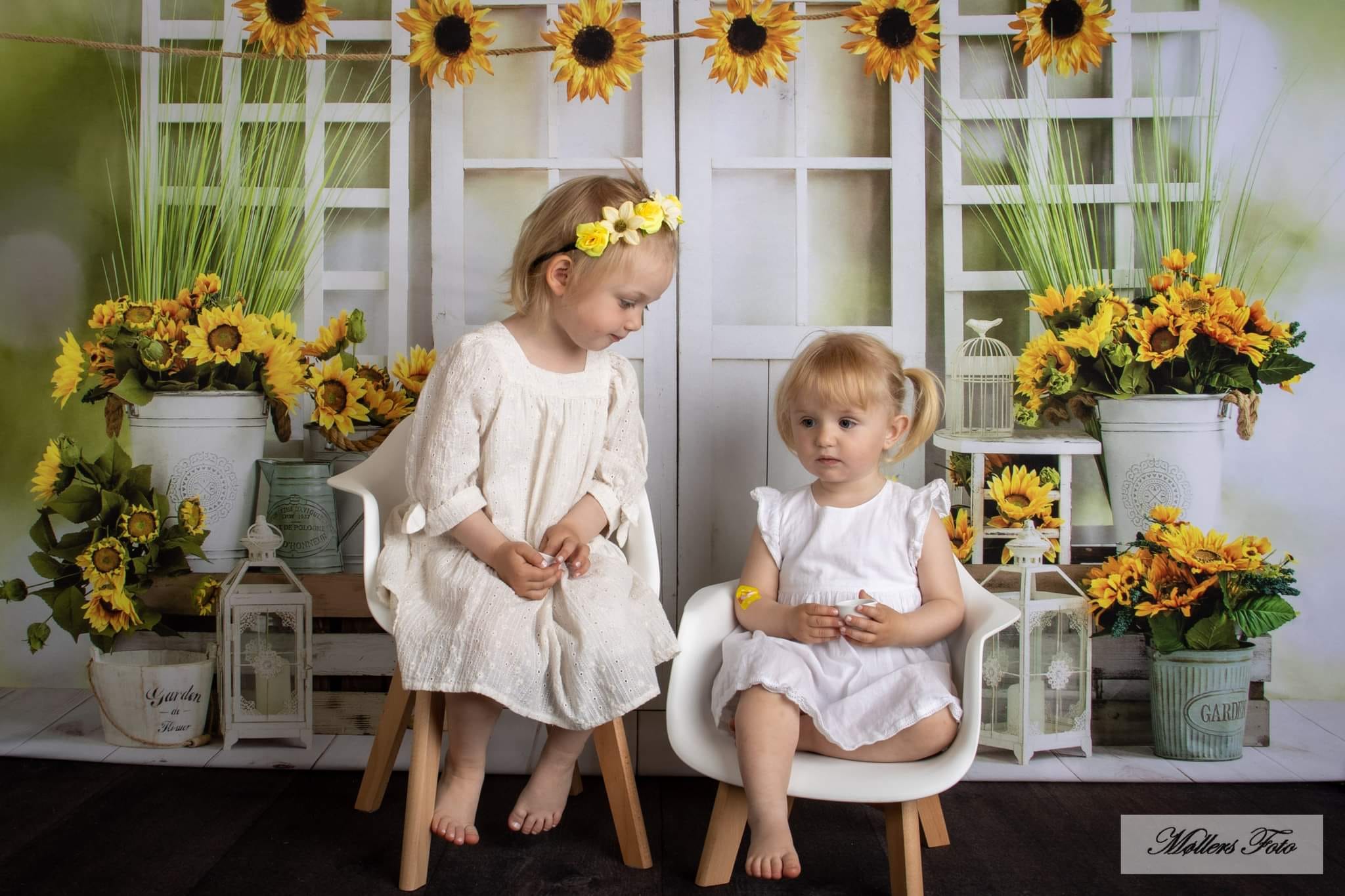 Kate Sunflowers Window Summer Backdrop Designed by Emetselch