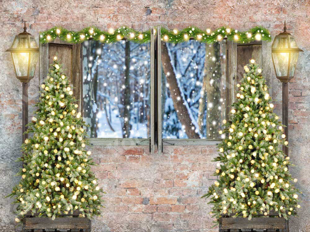 Kate Christmas Backdrop Tree Outwindow Snow Designed by Chain Photography