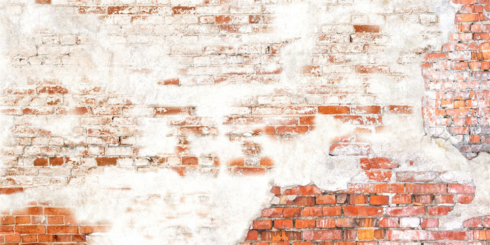 Reno Brick store Wall - Wrinkle Free Fabric - Photography Backdrop