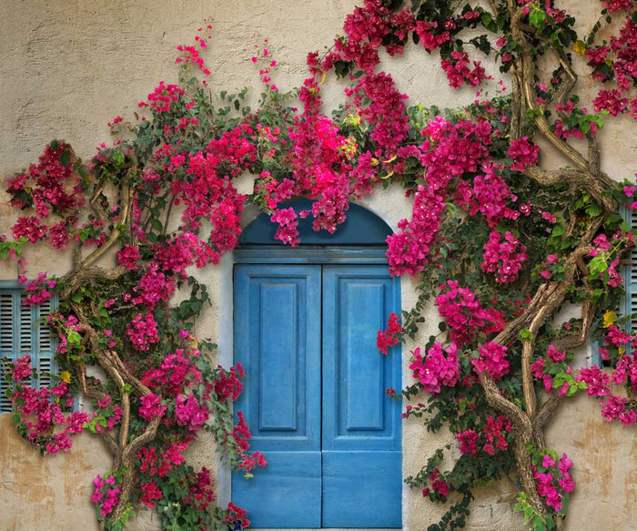 Kate Spring Flower Wall Mediterranean style Blue Door Backdrop for ...