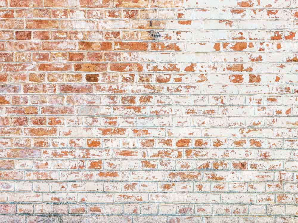 Kate Shabby Brick Wall Backdrop Designed by Kate Image