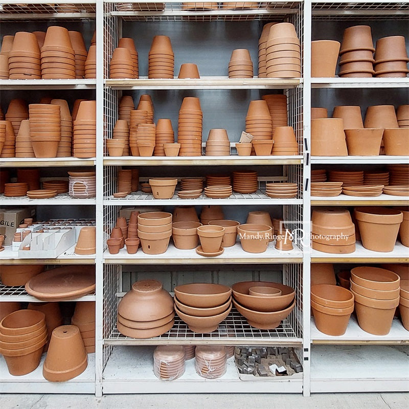 Kate Flower Pot Shelves Backdrop Designed by Mandy Ringe Photography