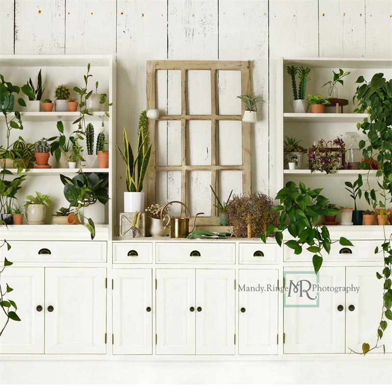 Appassionato delle piante Cucina sfondo estivo fresco ideato da Mandy Ringe Photography