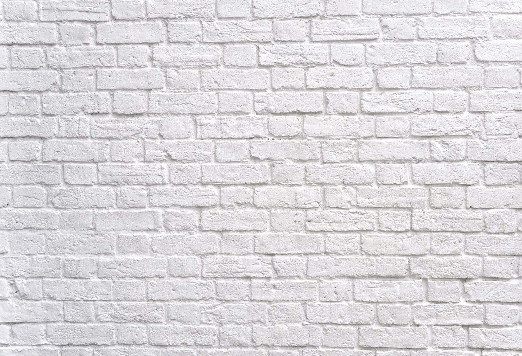 Kate White Gray Brick Wall Background Backdrop Studio