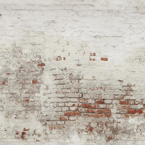 Kate Damaged Brick White Wall Backdrop for Photography Designed by Pine ...