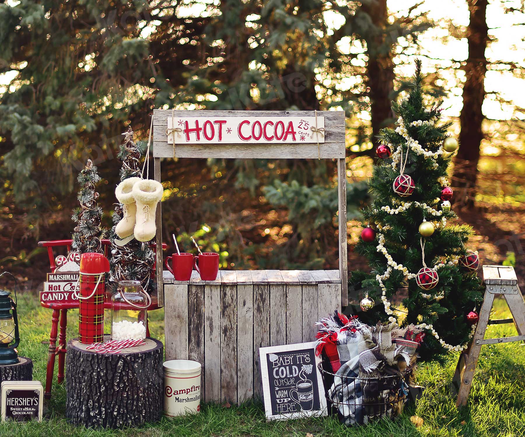 RTS Hot Cocoa Stand Backdrop Progettato da Mandy Ringe Photography