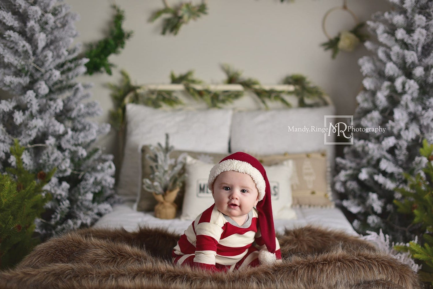 Kate Christmas/Winter Bed Backdrop for Photography