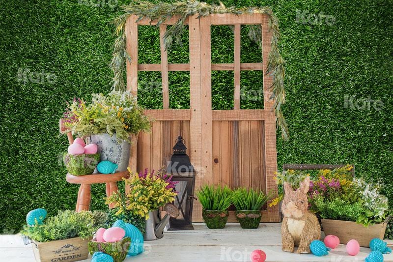 Kate Spring/Easter Eggs Bunny Door Green Grasses Wall Backdrop for Photography - Kate Backdrop