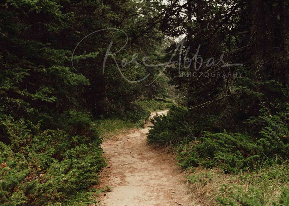 Kate New Forest Path Backdrop Wood Designed By Rose Abbas - Kate Backdrop