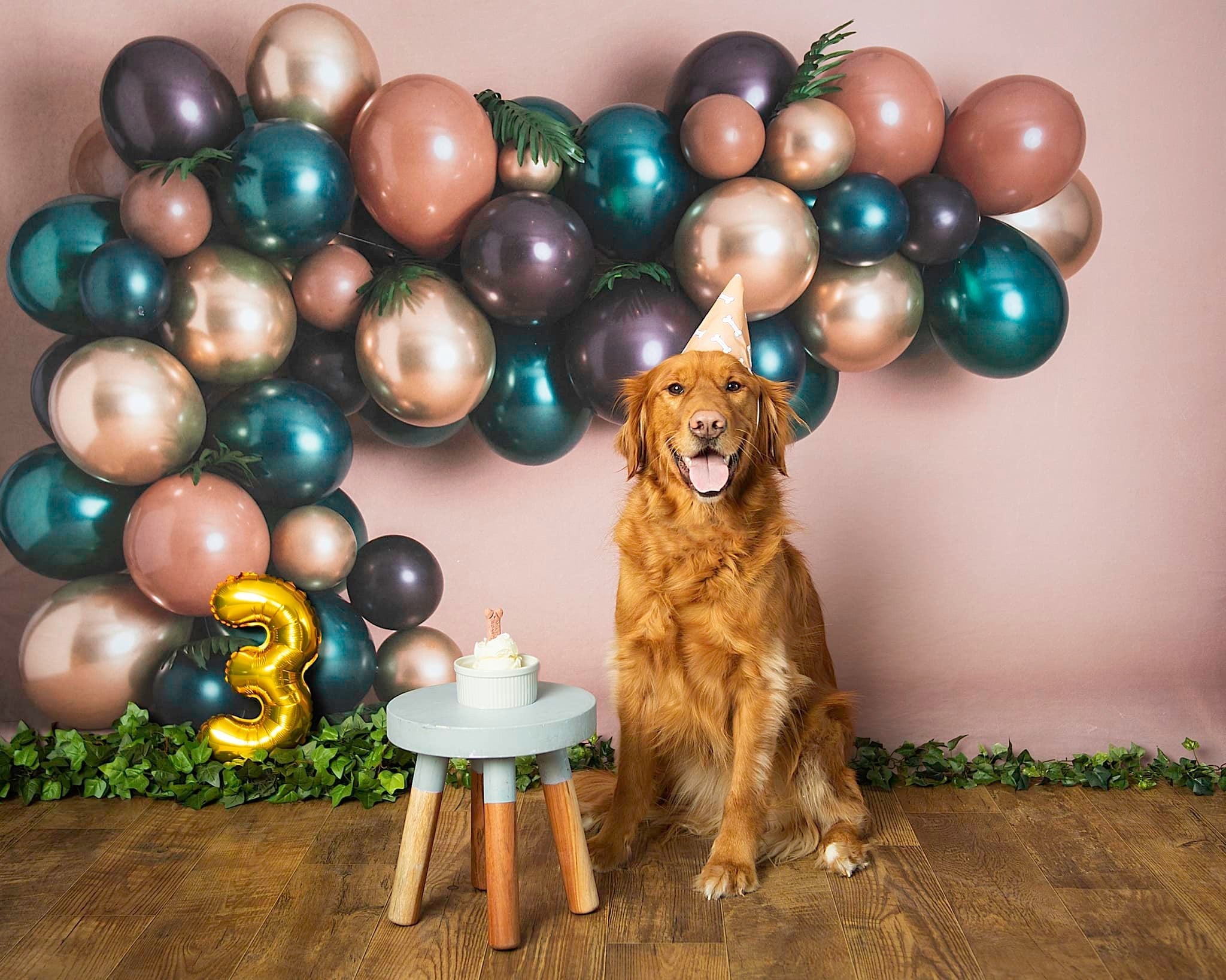 Kate Pet Balloons Backdrop Designed By Rose Abbas