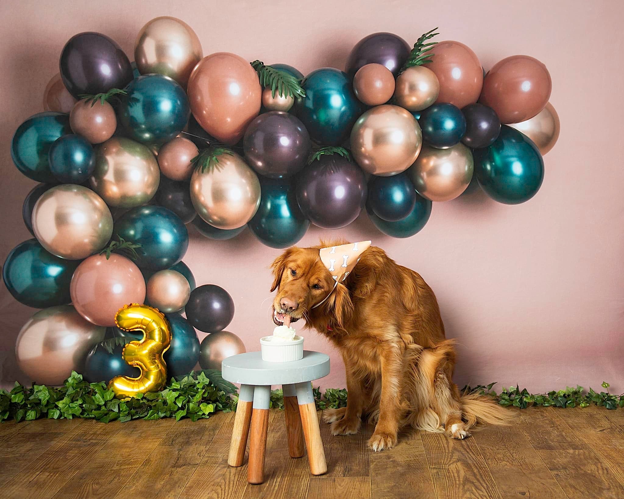 Kate Pet Balloons Backdrop Designed By Rose Abbas