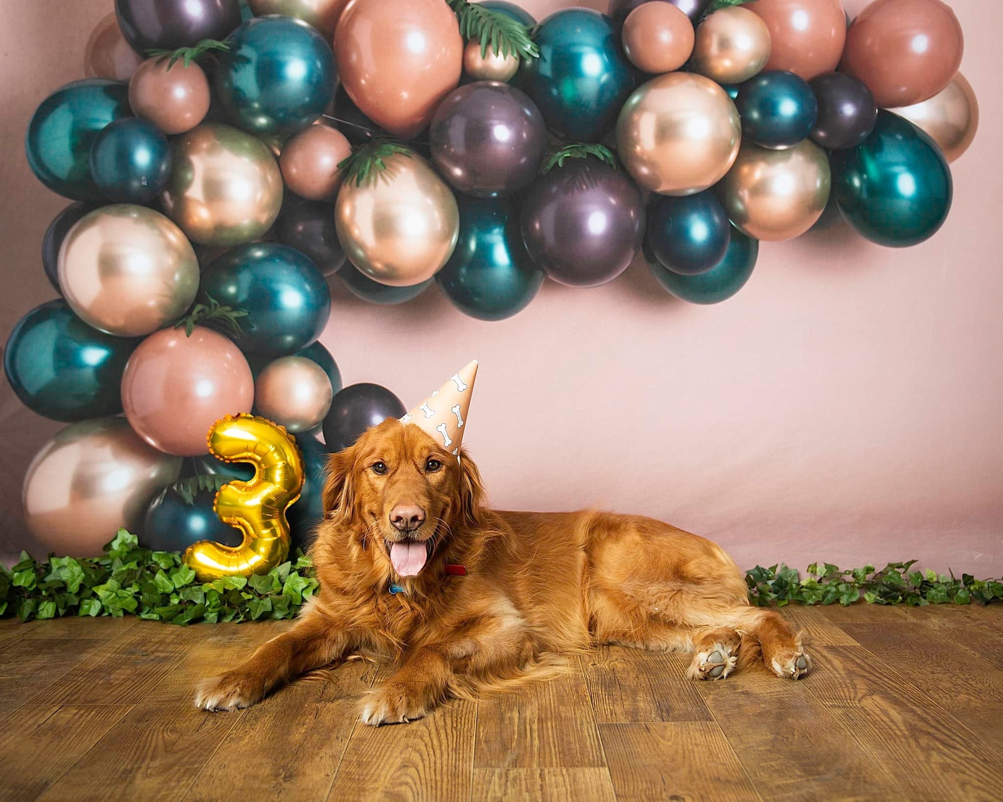 Kate Pet Balloons Backdrop Designed By Rose Abbas