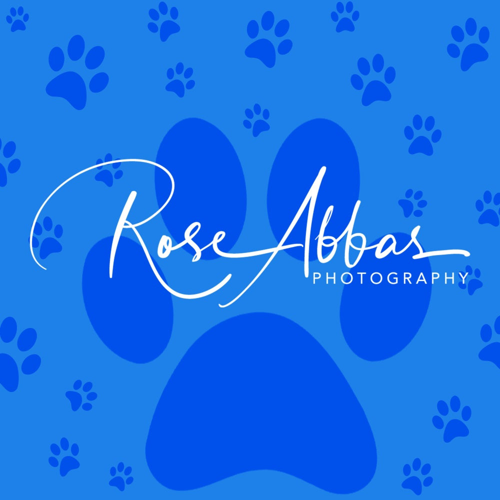 Kate Pet Backdrop Paw Print for Photography Designed By Rose Abbas