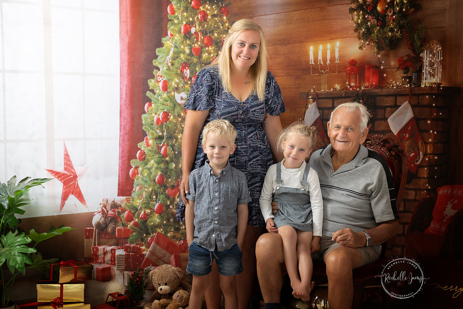 Kate Christmas Indoor Fireplace Backdrop for Photography - Kate Backdrop