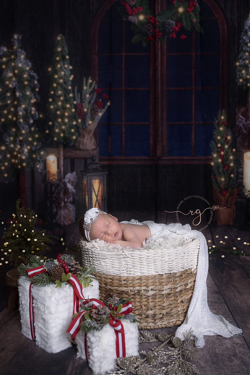 Kate Christmas Window Wooden Backdrop Designed by Emetselch - Kate Backdrop