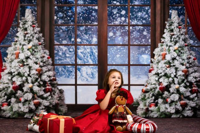 Kate Christmas Winter Snow Window Backdrop for Photography