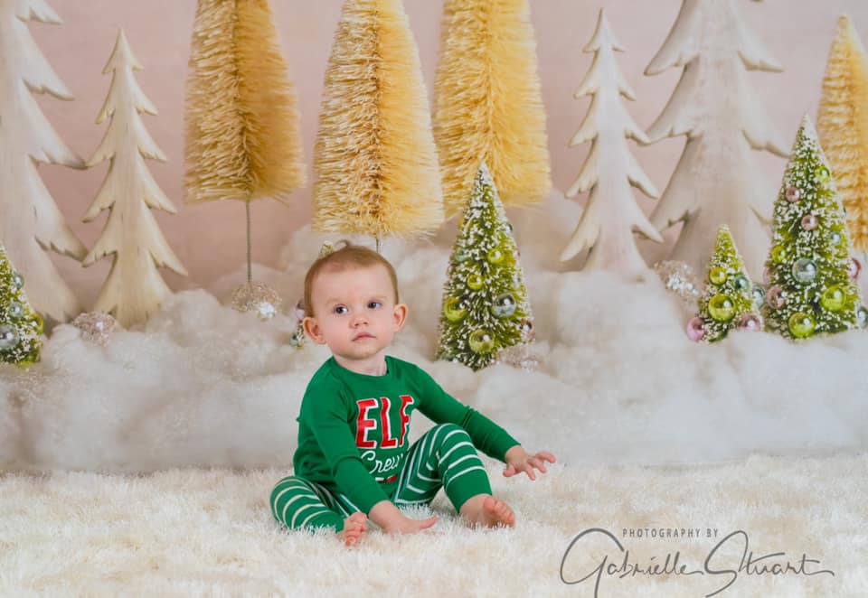 Kate Elegant Christmas Trees with Glitter Backdrop for Photography Des