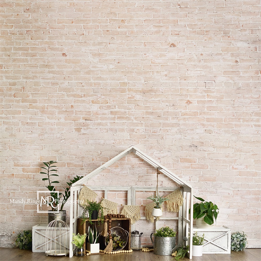 Kate Farmhouse Style Greenhouse Backdrop Designed by Mandy Ringe Photography