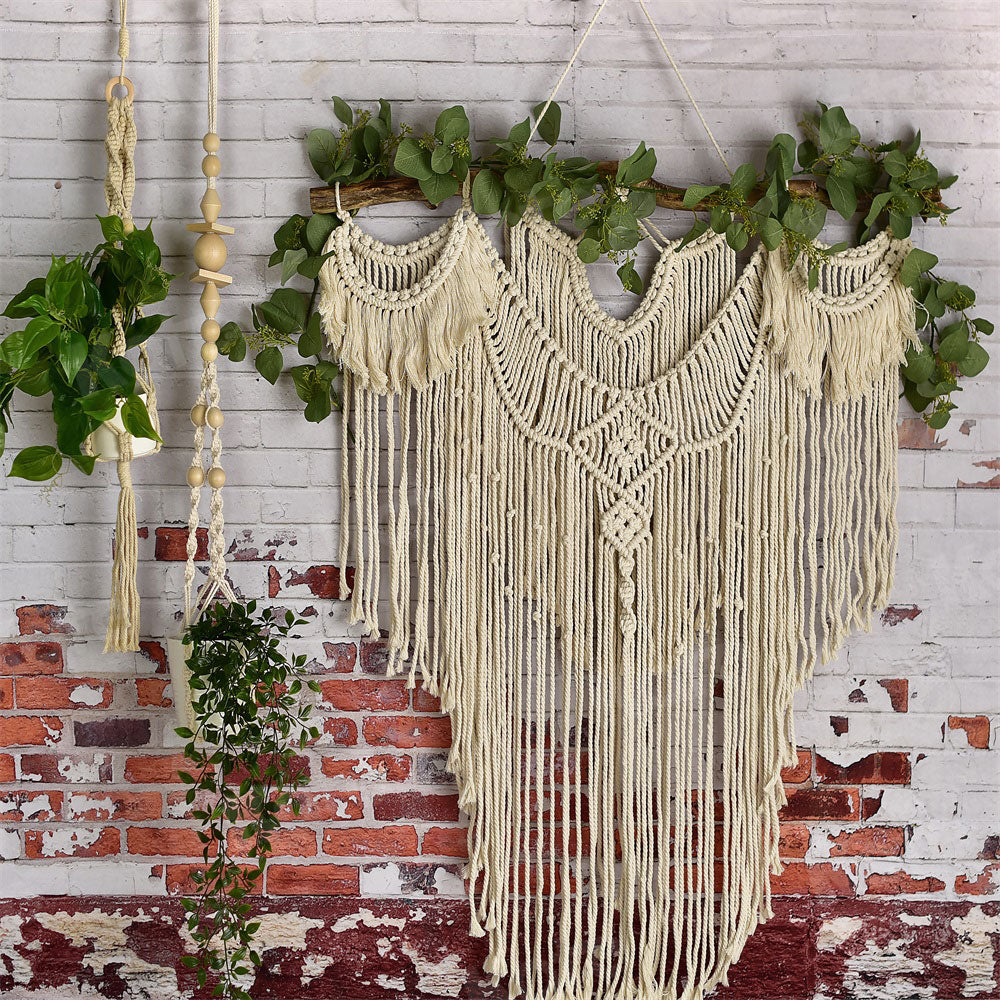 Kate Spring/mother's Day Boho Macrame Wall with Plants Backdrop Designed By Mandy Ringe Photography - Kate Backdrop