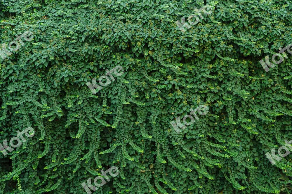 Kate Summer Plant Wall Backdrop Green Leaves Designed by Chain Photography