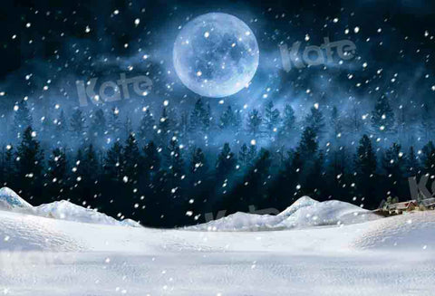 Snow Train Track Photography Backdrops Winter Night Moon Background Ba –  dreamybackdrop