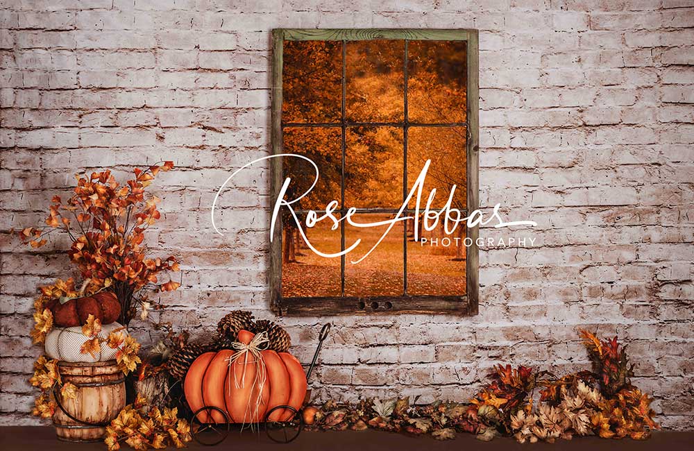 Kate Autumn Window Backdrop Pumpkin Designed By Rose Abbas - Kate Backdrop