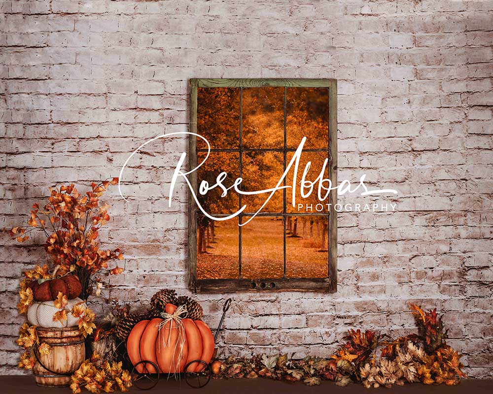 Kate Autumn Window Backdrop Pumpkin Designed By Rose Abbas - Kate Backdrop