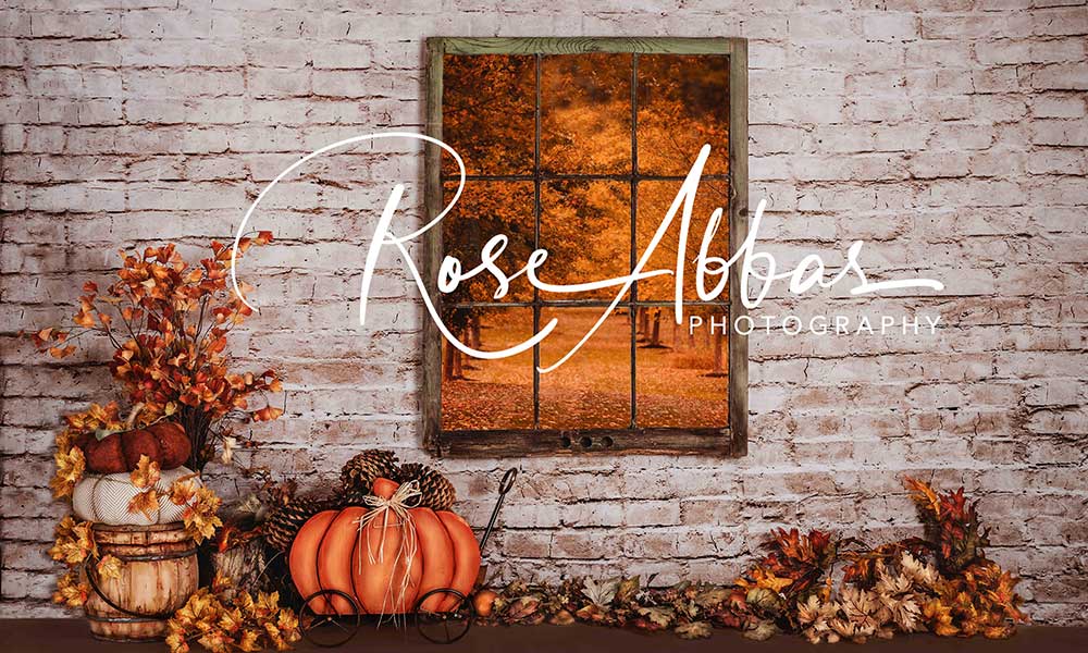 Kate Autumn Window Backdrop Pumpkin Designed By Rose Abbas - Kate Backdrop