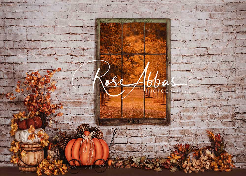 Kate Autumn Window Backdrop Pumpkin Designed By Rose Abbas - Kate Backdrop