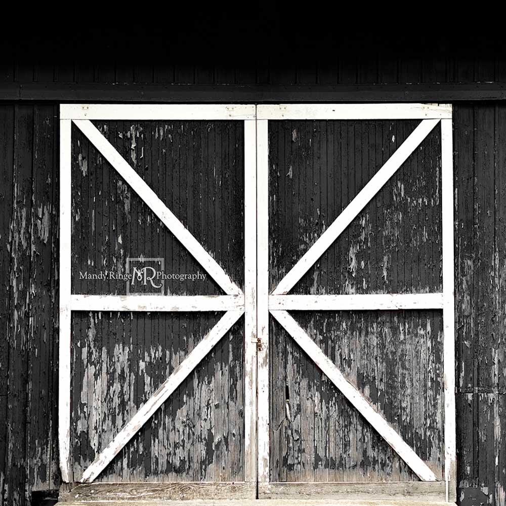 Kate Black Vintage Backdrop Barn Door for Photography