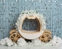 Kate Cake Smash Blue Carriage for photography