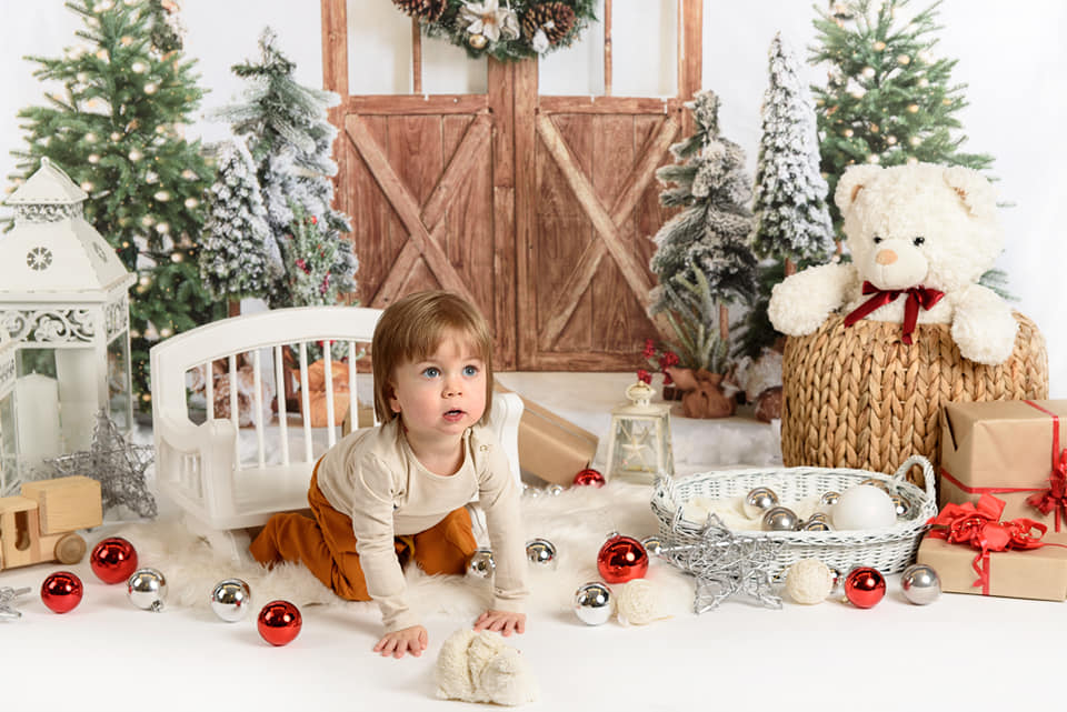 Kate Christmas Tree Backdrop Barn Door Wood Designed by Emetselch - Kate Backdrop